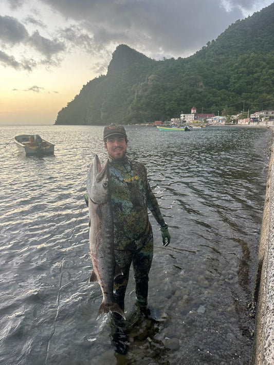Diver with barracuda at sunset