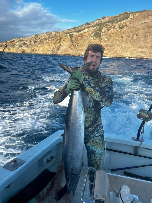 Diver with yellowfin tuna - bluewater hunting